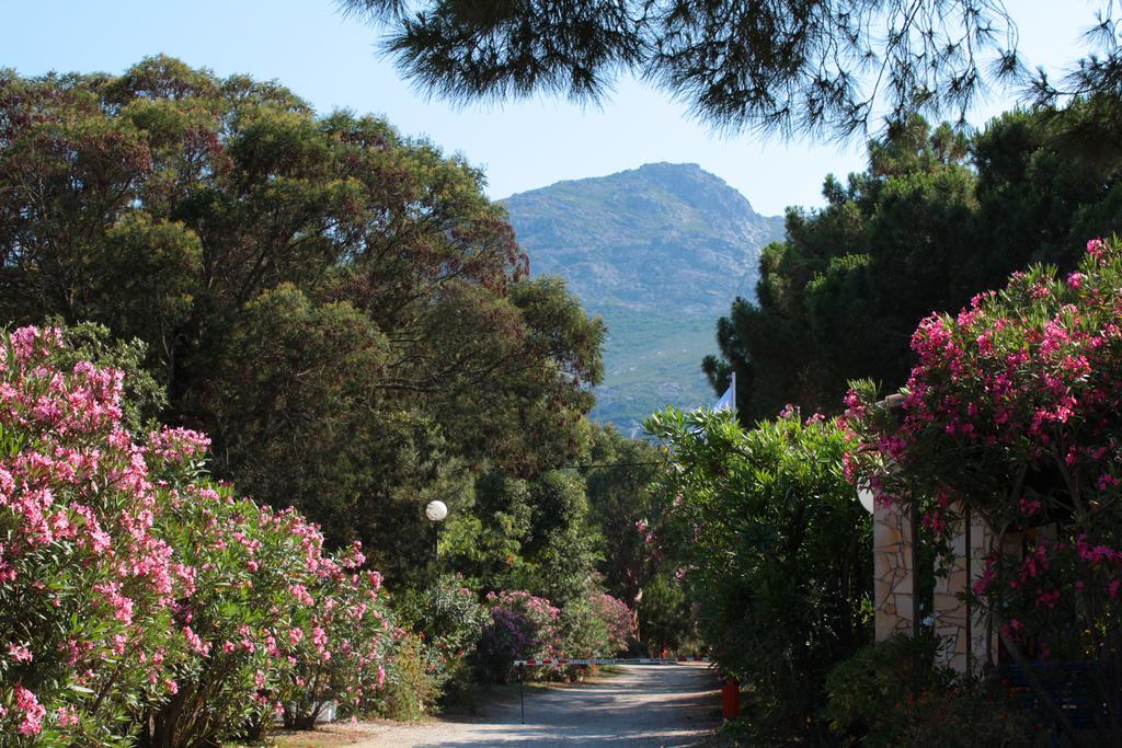 Camping Bella Vista Καλβί Εξωτερικό φωτογραφία